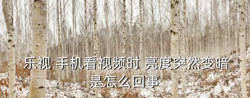  樂視 手機(jī)看視頻時(shí) 亮度突然變暗是怎么回事