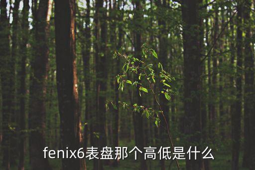  fenix6表盤那個高低是什么