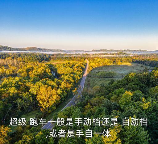 超級(jí) 跑車一般是手動(dòng)檔還是 自動(dòng)檔,或者是手自一體