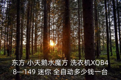小天鵝迷你全自動洗衣機(jī),小天鵝全自動洗衣機(jī)蜂鳴器可能是原因