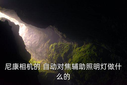 尼康相機(jī)的 自動(dòng)對(duì)焦輔助照明燈做什么的