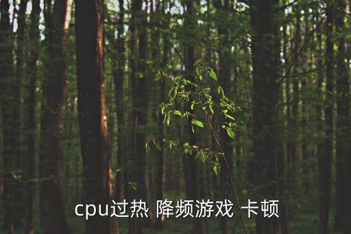  cpu過熱 降頻游戲 卡頓