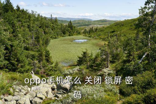  oppo手機(jī)怎么 關(guān)閉 鎖屏 密碼