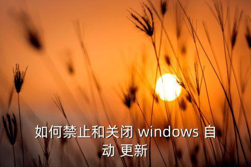 如何禁止和關(guān)閉 windows 自動 更新