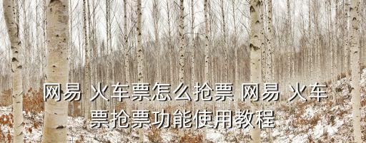  網(wǎng)易 火車票怎么搶票 網(wǎng)易 火車票搶票功能使用教程