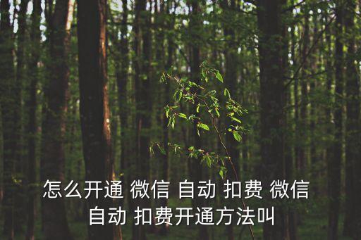 怎么開通 微信 自動(dòng) 扣費(fèi) 微信 自動(dòng) 扣費(fèi)開通方法叫