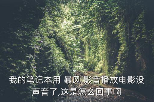 我的筆記本用 暴風(fēng) 影音播放電影沒聲音了,這是怎么回事啊