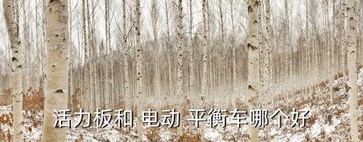 活力板和 電動(dòng) 平衡車哪個(gè)好