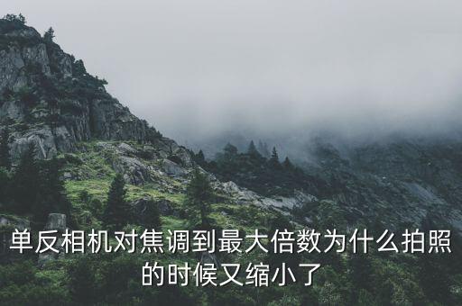 單反相機(jī)對(duì)焦調(diào)到最大倍數(shù)為什么拍照的時(shí)候又縮小了