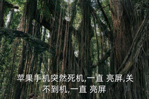 蘋果自動亮屏插件,手機放在臺燈下亮度滑塊會自動變暗