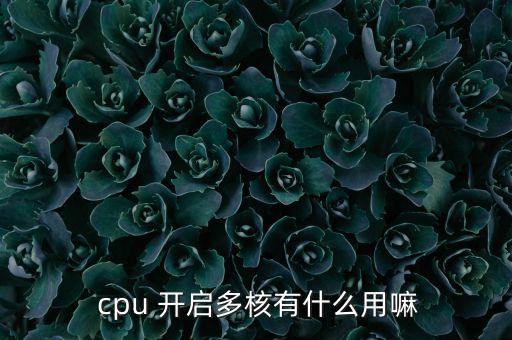  cpu 開(kāi)啟多核有什么用嘛