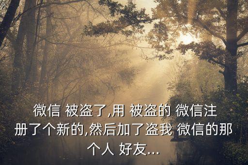  微信 被盜了,用 被盜的 微信注冊了個新的,然后加了盜我 微信的那個人 好友...