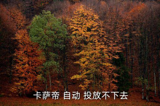  卡薩帝 自動(dòng) 投放不下去