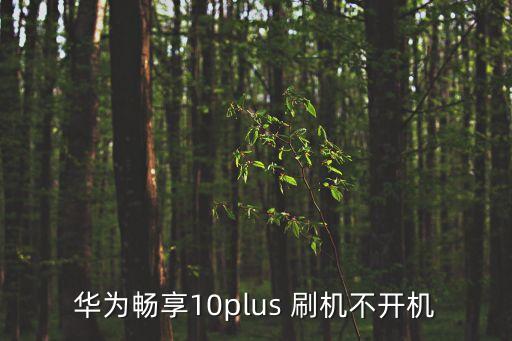 華為暢享10plus 刷機(jī)不開(kāi)機(jī)