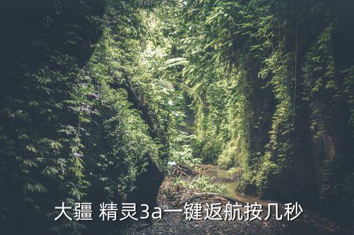 大疆精靈3自動(dòng)巡航,大疆如何操作無(wú)人機(jī)1和射擊目標(biāo)
