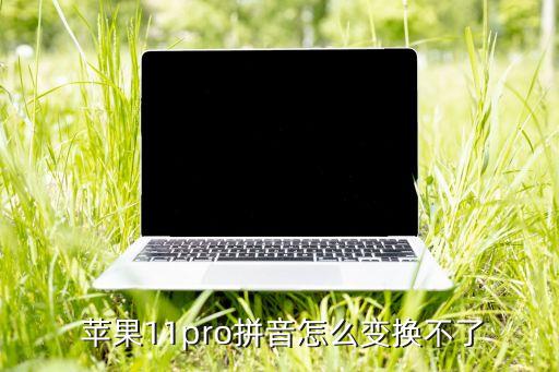  蘋(píng)果11pro拼音怎么變換不了