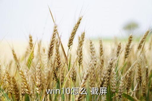  win10怎么 截屏