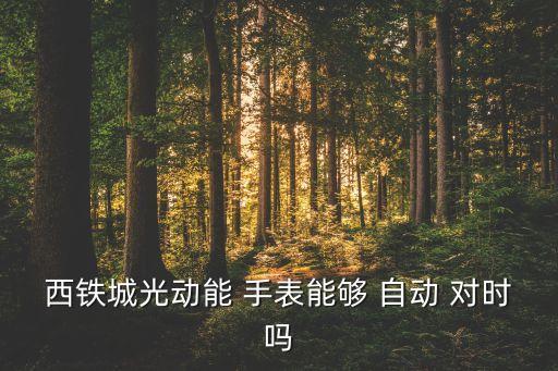 西鐵城光動能 手表能夠 自動 對時嗎