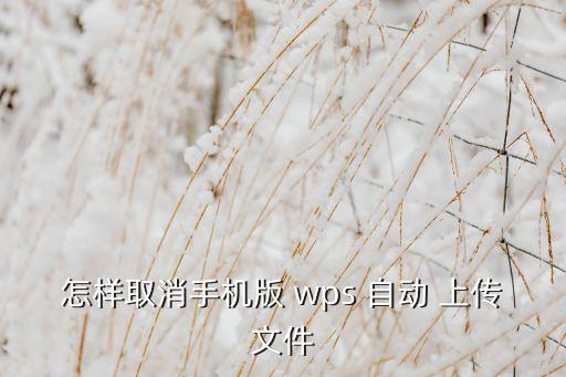 wps自動上傳文檔,怎么用wps自動上傳文檔?