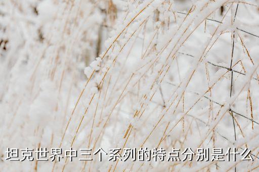 炮塔防御 自動射擊,德國海軍陸戰(zhàn)隊退役士兵回返母校訓練
