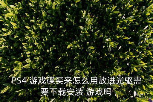 ps4游戲自動安裝嗎,ps4游戲光盤放入光驅(qū)后會自動安裝