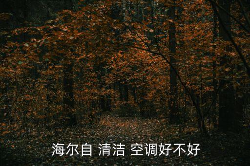  海爾自 清潔 空調(diào)好不好