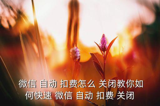 微信怎么關(guān)閉自動(dòng)扣費(fèi),用戶要-2微信自動(dòng)扣費(fèi)兩種操作方式