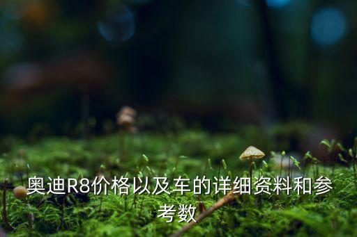  奧迪R8價格以及車的詳細資料和參考數(shù)