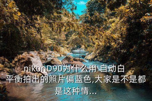 nikonD90為什么用 自動白 平衡拍出的照片偏藍色,大家是不是都是這種情...