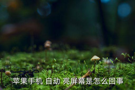  蘋果手機 自動 亮屏幕是怎么回事