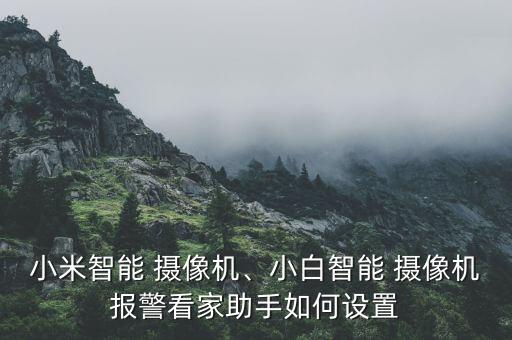 米家攝像機(jī)自動(dòng)看護(hù),小米智能攝像機(jī)如何設(shè)置家政鬧鐘?