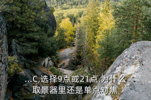...C,選擇9點或21點,為什么取景器里還是單點對焦