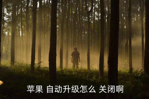  蘋果 自動升級怎么 關閉啊