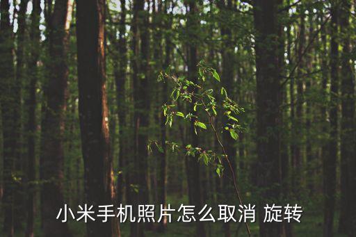  小米手機(jī)照片怎么取消 旋轉(zhuǎn)