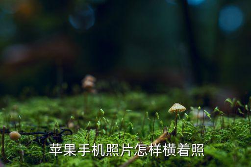  蘋果手機照片怎樣橫著照