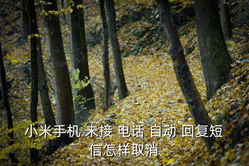 小米手機(jī) 未接 電話 自動(dòng) 回復(fù)短信怎樣取消