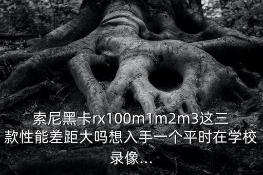 索尼黑卡rx100m1m2m3這三款性能差距大嗎想入手一個(gè)平時(shí)在學(xué)校錄像...