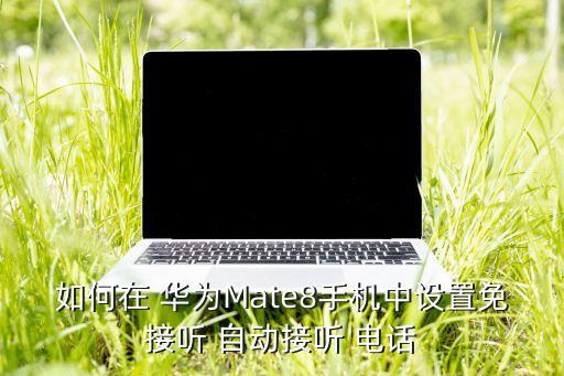 如何在 華為Mate8手機(jī)中設(shè)置免接聽(tīng) 自動(dòng)接聽(tīng) 電話