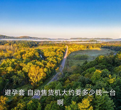 避孕套 自動(dòng)售貨機(jī)大約要多少錢一臺(tái)啊
