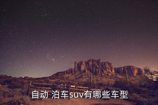  自動(dòng) 泊車suv有哪些車型