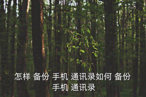 怎樣 備份 手機 通訊錄如何 備份 手機 通訊錄