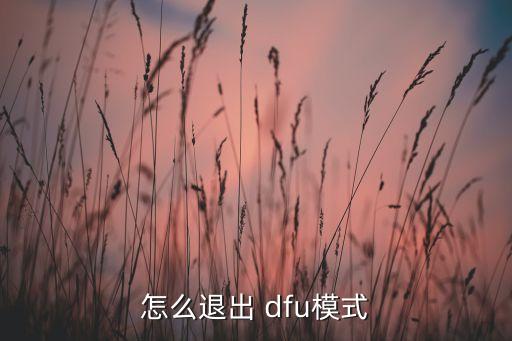 怎么退出 dfu模式
