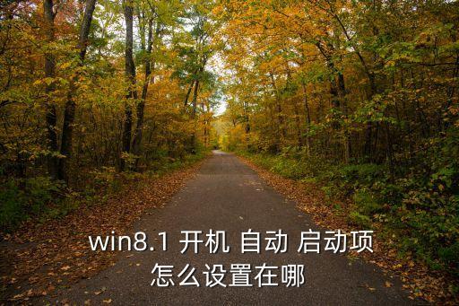  win8.1 開機(jī) 自動 啟動項(xiàng)怎么設(shè)置在哪