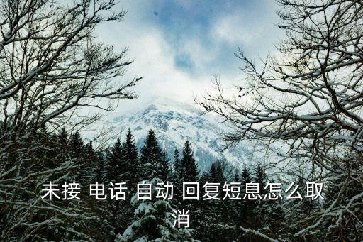  未接 電話 自動(dòng) 回復(fù)短息怎么取消