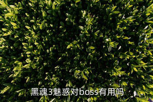 黑魂3 自動鎖定,劃分攻擊技能需要用左ctrl擺姿勢