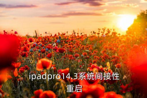  ipadpro14.3系統(tǒng)間接性 重啟