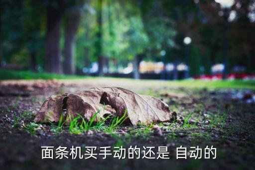 自動(dòng)面條機(jī)怎么樣,五人以上家庭建議使用電動(dòng)面條機(jī)