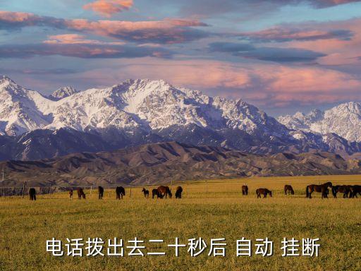  電話撥出去二十秒后 自動 掛斷