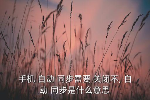 手機(jī) 自動(dòng) 同步需要 關(guān)閉不, 自動(dòng) 同步是什么意思
