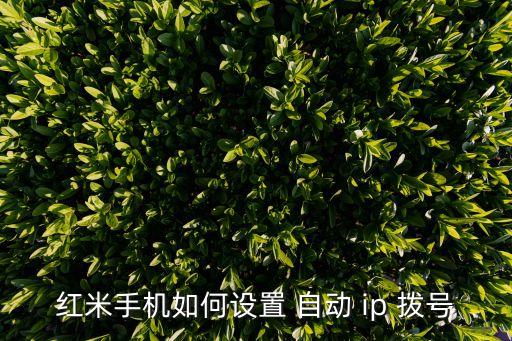 紅米手機如何設(shè)置 自動 ip 撥號